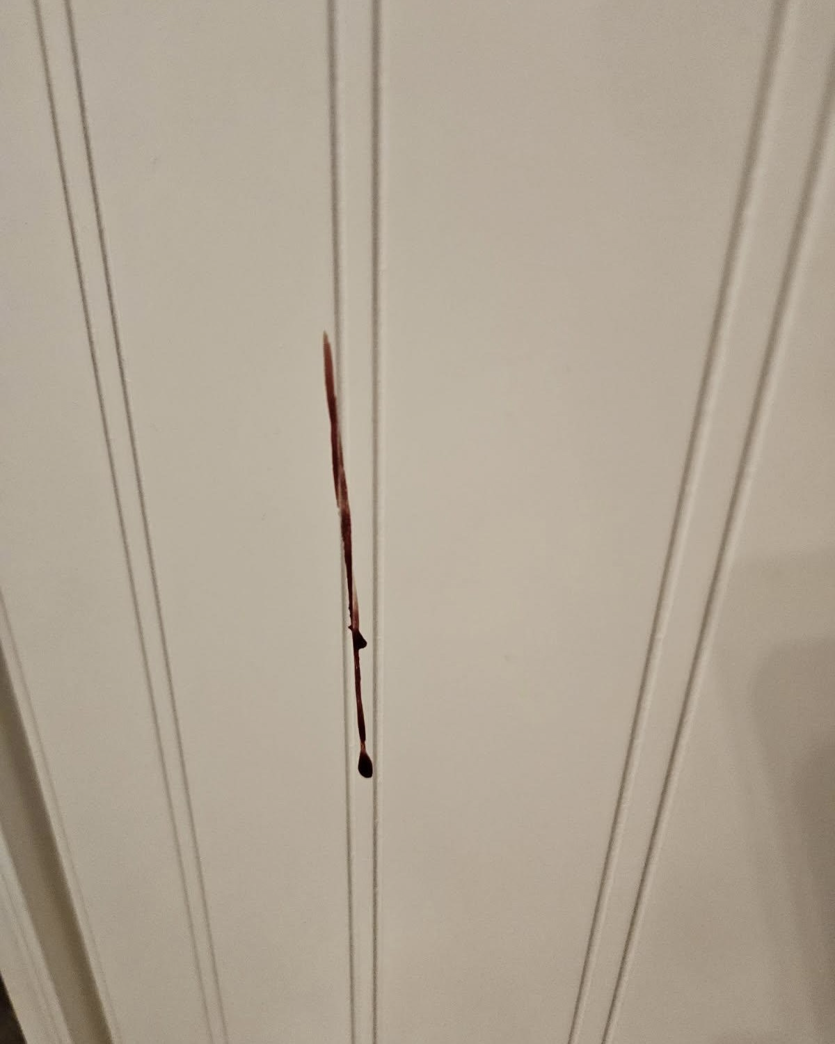 Blood on the wall of the hotel room
