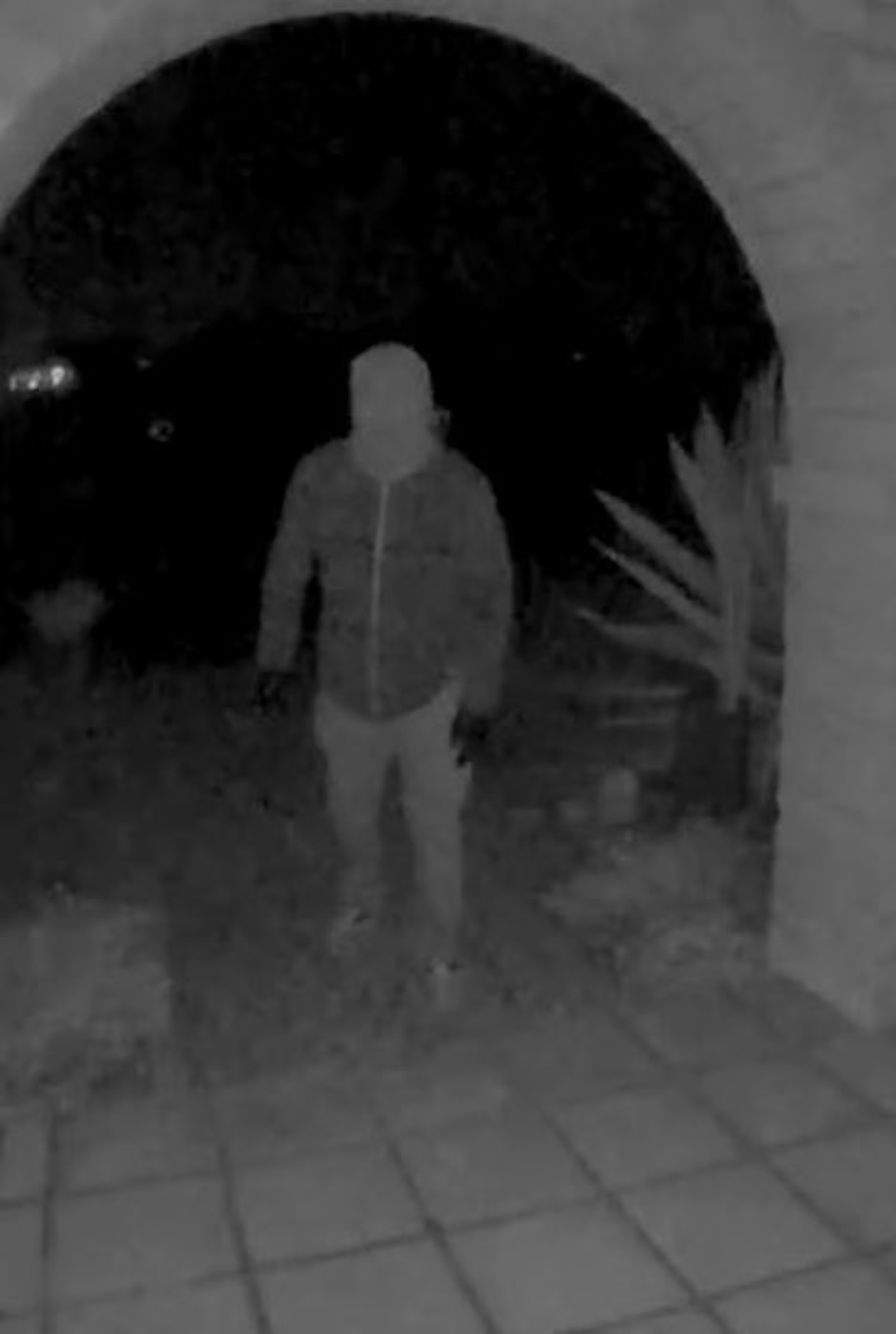 Suspect approaching Nancy's front door