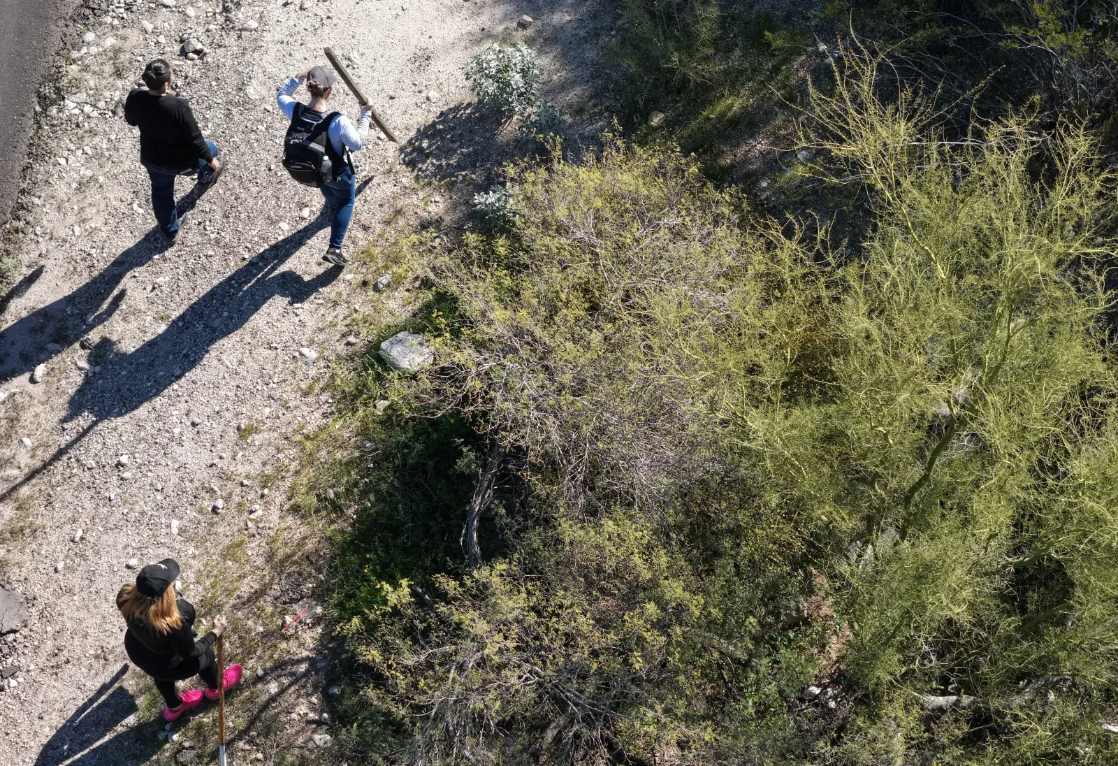 Aerial view of volunteers searchers near Nancy's home.