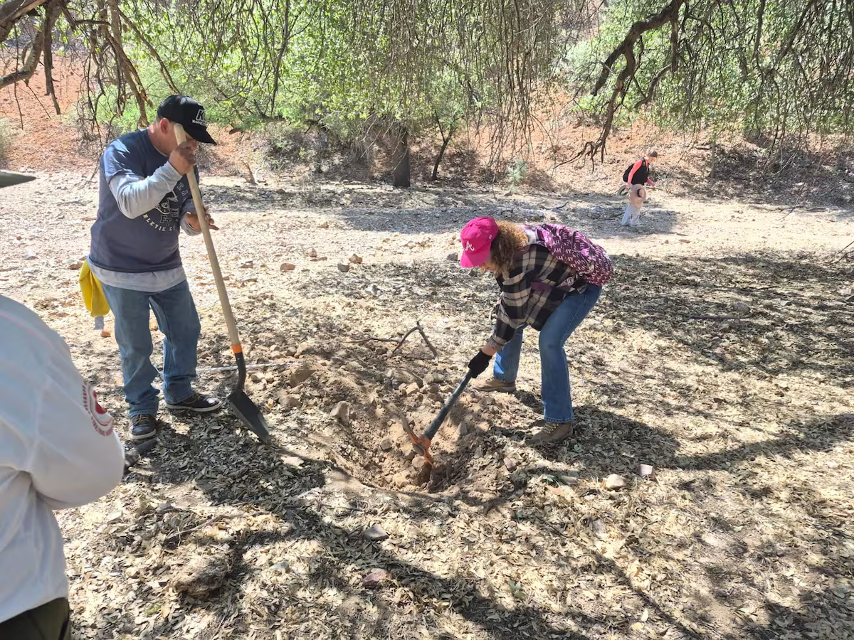 Ongoing search of the Nogales collective in the Mariposa area