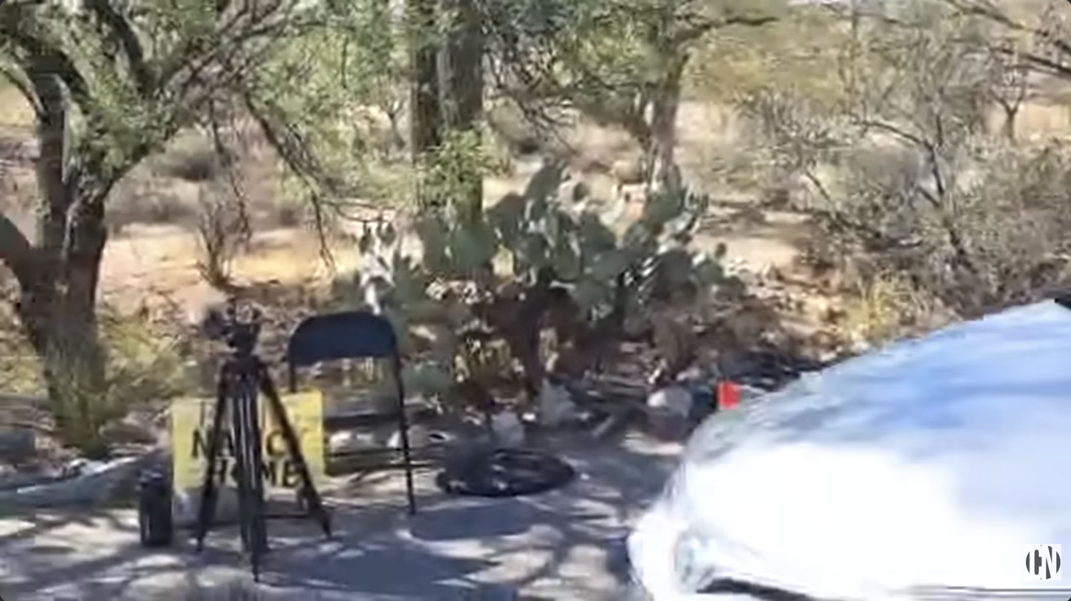 Car passing right before Zabel walks along the easement to document the cactus clippings on May 26