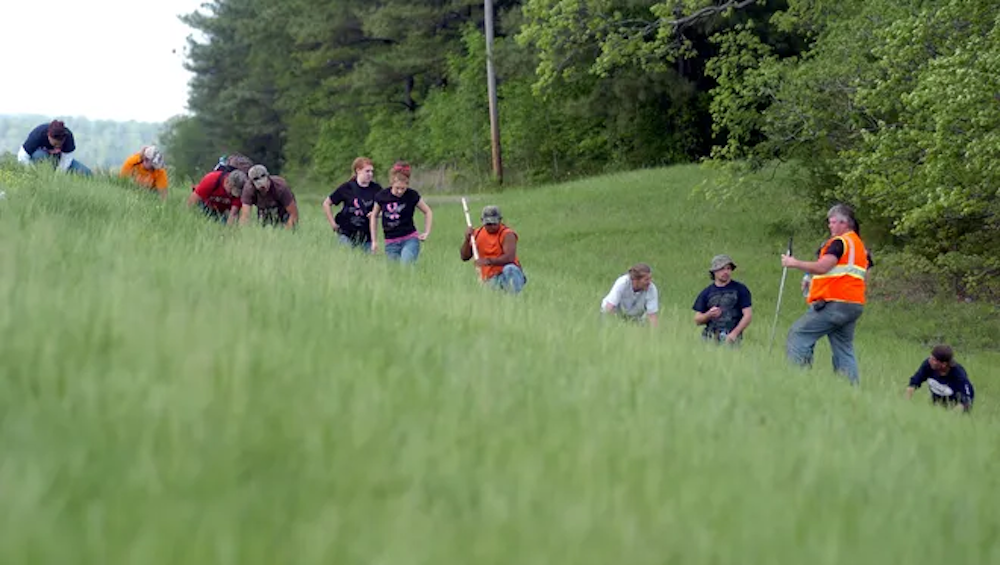 Searchers combing the area near the Bobo home