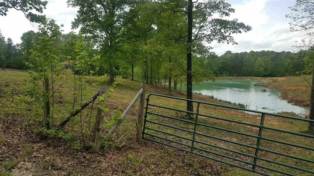The wooded trail behind the Bobo home
