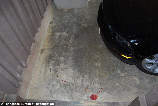 Pool of blood on the carport floor near Holly's car