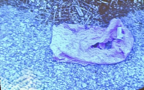 Underwear found in road