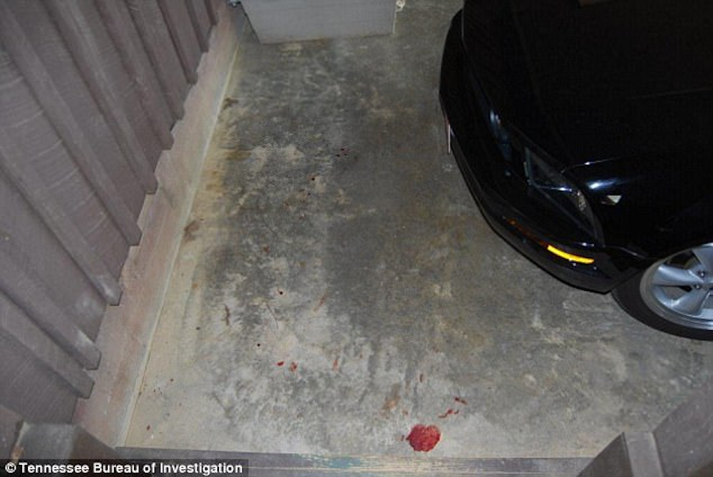 Pool of blood on the carport floor near Holly's car