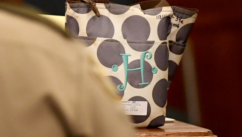 Holly's lunchbox